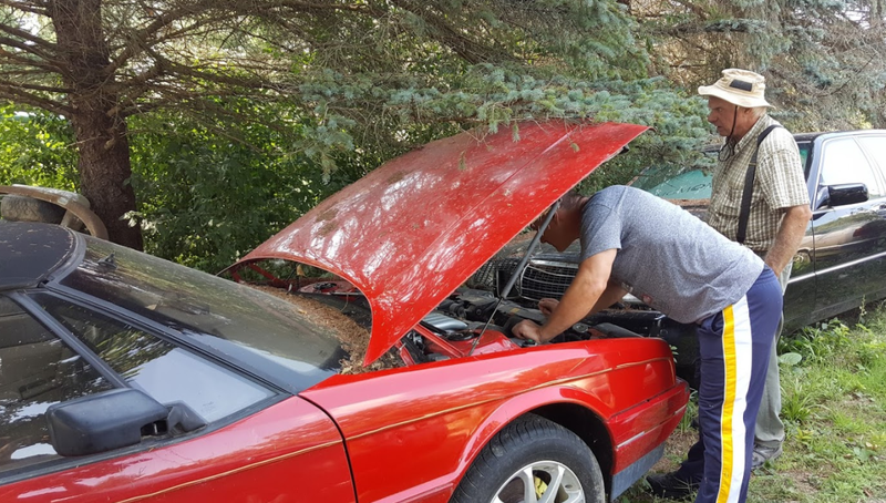 Illustration for article titled A Michigan Town Is Forcing This Man To Sell 20 Old Cars Off His Property Every Month